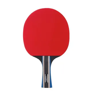 Loki Carbon 2 Star stol tennisi raketkasi